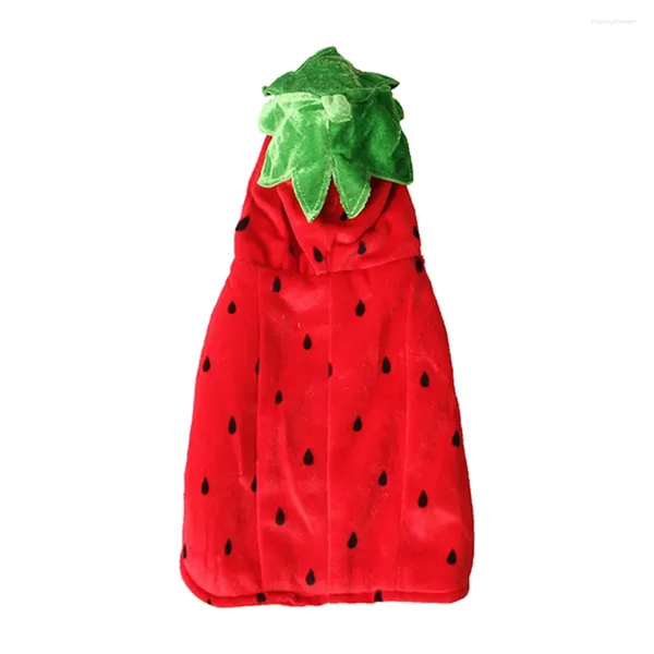 Costumes de chat Costume de fraise Noël en peluche pull chaud Santa Poncho manteau vêtements avec chapeau pour chats et petits chiens rouge