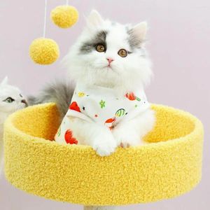 Costumes de chat Costume Strectume Cartoon Pattern stérilisation Suite pour les chats femelles Small Dogs Tenue anti-léchage avec sevrage doux