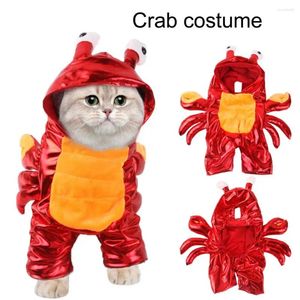 Costumes de chat élégants lavables, vêtements de Cosplay de crabe amusants, accessoire de photographie, fournitures de costumes pour animaux de compagnie en Polyester Super doux