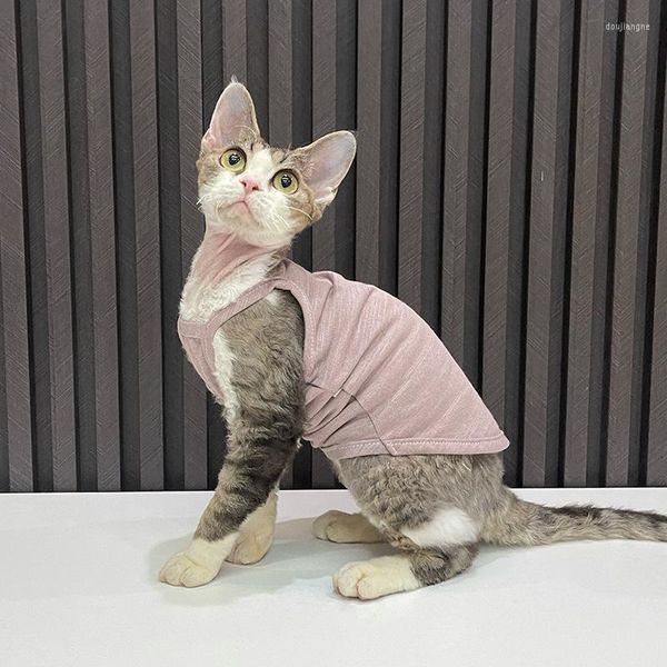 Disfraces de gato, ropa de verano para Sphinx, chaleco bonito para mascotas, abrigo grueso, chaqueta para gatitos, traje de aire acondicionado transpirable para Chihuahua