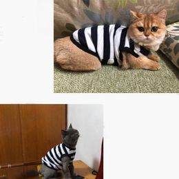 Disfraces de gato Chaleco de verano para mascotas Protector solar Fresco y transpirable Camisa linda para perros Ropa pequeña de tamaño mediano Teddy Chihuahua