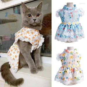 Cat Costumes Zomer Sphynx Princess Dress met kant Zoete huisdier Bloemkleding Rok voor katten Kitten Jurken Kleding Ropa Para Gato