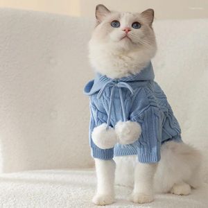Costumes de chat pull à capuche chaud Ins Style vêtements pour animaux de compagnie automne et hiver prévenir la perte de cheveux chats adultes chatons chandails produits