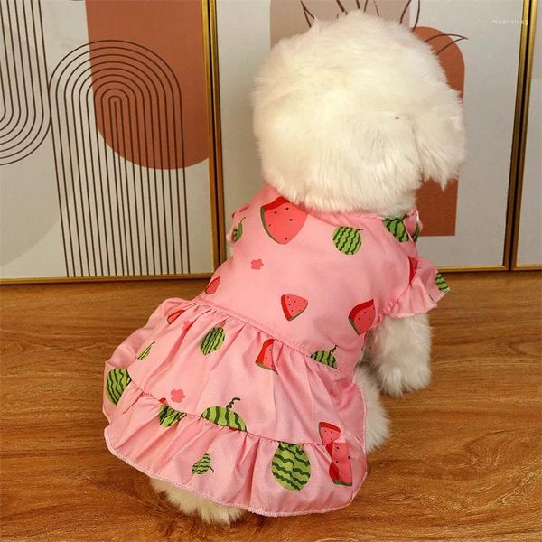 Disfraces para gatos Vestido de frutas dulces Ropa para perros pequeños Sandía Fresa Ropa Kawaii Grueso Cálido Traje lindo Artículos para mascotas al por mayor