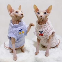 Costumes de chat chaud Sphinx gilet vêtements hiver chatons Costume sweat à capuche pour animaux de compagnie pour Sphynx petit chien manteau avec motif d'amour automne printemps