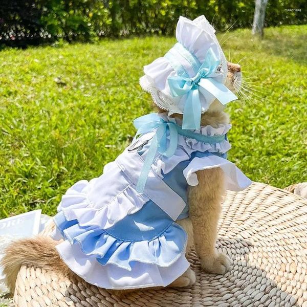 Costumes de chat avec trou de laisse, vêtements pour animaux de compagnie Parent-enfant, jupe de Traction pour chien doux et respirant, en Polyester bleu/rose, voyage de marche