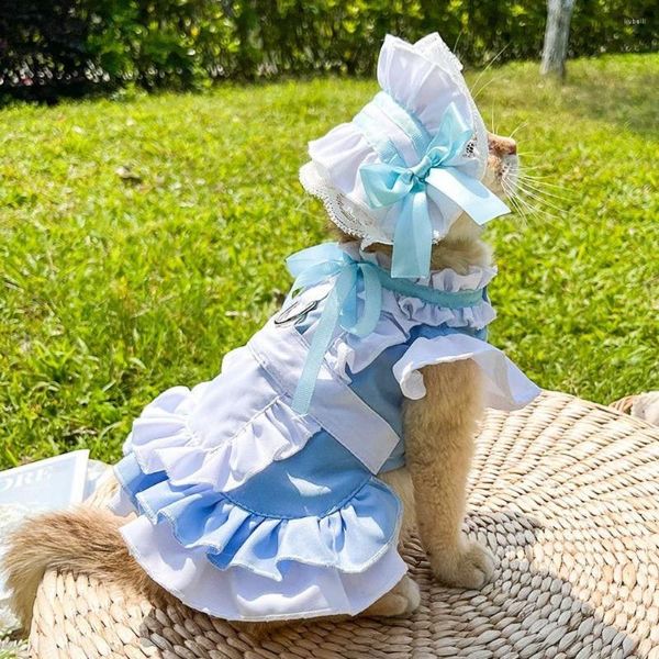 Costumes de chat avec trou de laisse, vêtements pour animaux de compagnie Parent-enfant, jupe de Traction respirante et douce pour chien, Polyester bleu/rose, marche