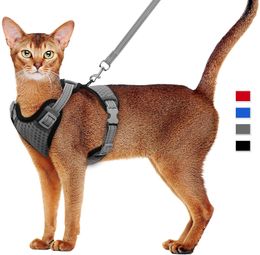 Gato perro arnés ajustable chaleco correa para caminar para cachorros collar de perros arnés de malla de poliéster para perros pequeños medianos gato mascota 240229