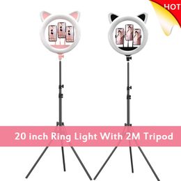 Cat Ear 20 inch LED Selfie Ring Light met 2M Tripod Stand Dimbare Photography Vulverlichting voor Telefoon Makeup Video YouTube VK