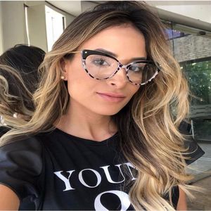 Cat eye bril frames dames trending stijlen bril TR90 optische mode -computerbril cy203271L