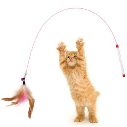 Varita de juguete con plumas para gato, cascabel de alambre de acero, palo interactivo para mascotas, ejercitador de entrenamiento para gatitos, cabezales de repuesto