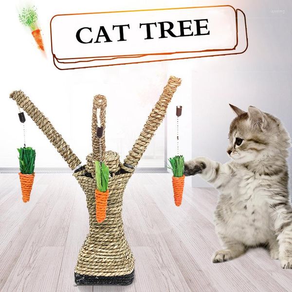 Meubles pour chat chaton pour animaux de compagnie arbre à gratter jouet arbre grattoir sisal corde carotte activité escalade jouer jouets fournitures résistantes aux rayures