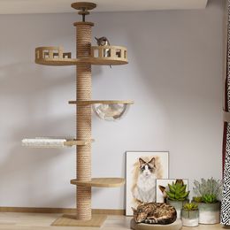 Cat Furniture Scratchers Tree Vloer tot plafond Toren Verstelbaar kitten Multi-level appartement met krassende postkussen Hangmat Pet Activity Center 230222