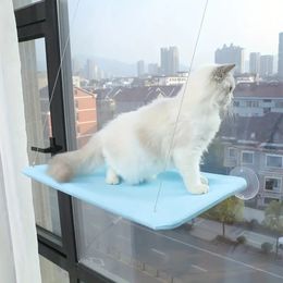 Chat hamac chat fenêtre perchoir chat lit fenêtre monté Hommock ventouses gain de place chat lit chat hamac siège de fenêtre