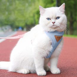 Harnais et laisse pour chat pour la marche, harnais de gilet souple et réglable anti-fuite pour chats et chiens, veste respirante à contrôle facile