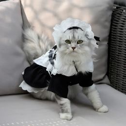 Robe et chapeau de demoiselle d'honneur pour chat, ensemble de costumes de chat mignon, vêtements pour chaton, jupe de Cosplay pour animaux de compagnie, Costumes de Cosplay pour chat Halloween 240322