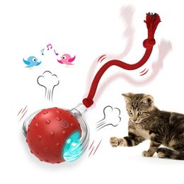 Cat Rolling Ball Bird Tjirping interactieve katten Toys Motion Sensor Cat Toy Balls Random Rolling Pet Kitten Teaser Lange staart 240401