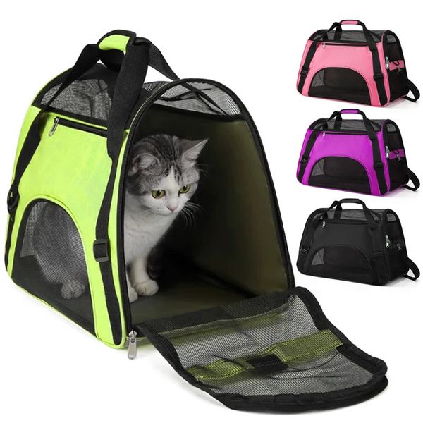 Cat s Crates Houses Chat Chien Pliable Sacs De Transport Doux Portable Respirant En Caoutchouc Maille Bagages Durable Léger Pet Sortie Sac À Dos Pour Voyage 231212