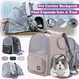 Cat s kratten huizen huisdier met rugzak voor kleine kattenhond grote capaciteit tas die zich uitbreidt in een tent reizen vouwen backpack huisdier benodigdheden 231212