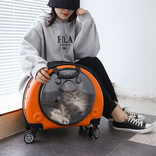 Cat s Crates Houses Pet Trolley Case Transparente Cat Bag Out Portable Gran capacidad Cápsula espacial Perro Gato Mochila Maleta portátil Cat 230726