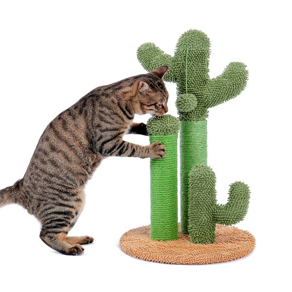 Chat grattant post cactus Cat gratteur avec 3 poteaux grattant et balle interactive pendante