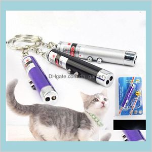 Cat Levers Home Garden 2 In1 Red Laser Pointer Pen Key Ring White Led Light Show draagbare infraroodstick grappige tease katten Pet Toys W