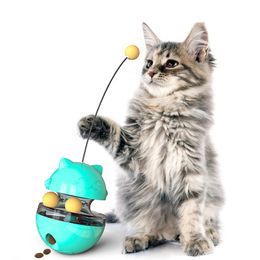 Jouet pour chat interactif pour chats produits pour animaux de compagnie gobelet jouet pour chat balle pour chat chaton Kitty fournitures pour animaux de compagnie formation de nourriture qui fuit