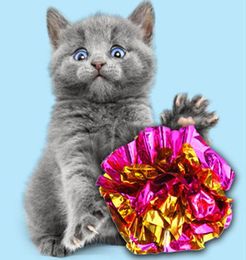 Cat jouet tin flait coloré de bague colorée papier interactif brillant boule de s son crose