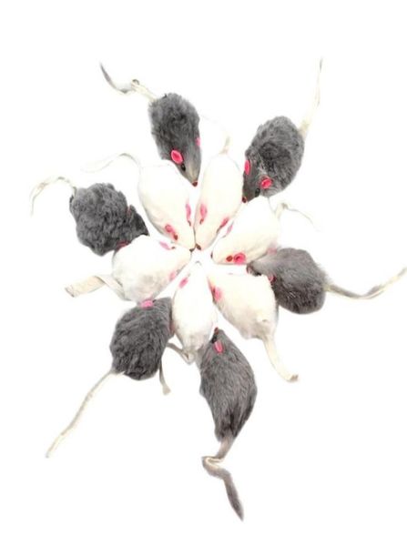Cat Toys 12pcs False Mouse Pet Pet Longhaired Tail Mice Sound Rattling Soft Real Fur Scheaky Toy5477786
