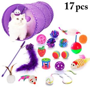 Cat Toys 17pcs Legendog speelgoed geassorteerde types teaser kogeltunnel pluche kleurrijke nep veer grappig