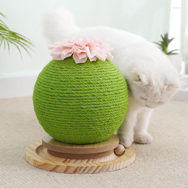 Jouets pour chats 2 en 1, boule de Cactus, planche à gratter, piste en bois massif de Sisal, pattes de meulage, jouet interactif, fournitures pour animaux de compagnie