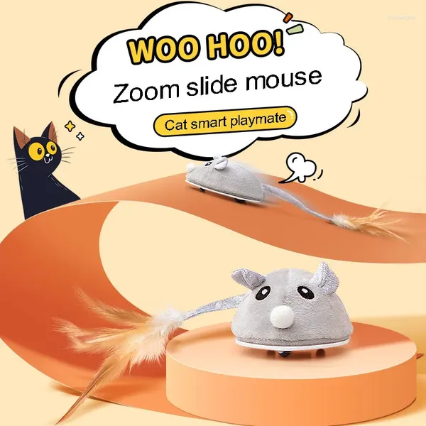 Accessoires de jouets pour chats, animaux rampants, petite souris, chargement USB, plumes, Rat floqué, produits électroniques automatiques