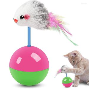 Jouets pour chats Les chats sont heureux Souris Gobelets Animaux à mâcher et taquiner Convient aux petits chiens de taille moyenne Teddy