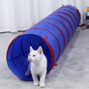 Túneles para perros Cat Tunnel Premium Túneles S Playe Plays Playe Play Tube Interactive Tube con Pompon y Bells para Puppy