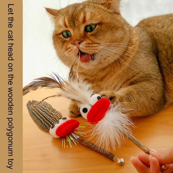 Chat Jouets Excellent Plume Tige En Peluche Teaser Jouet Belle Forme Pet Chaton Bâton Dents De Nettoyage