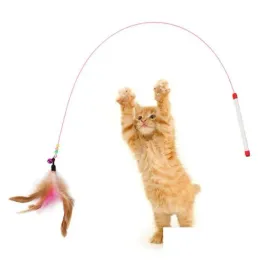Kattenspeelgoed Verenstokje Staaldraadbel Interactieve huisdierstick Kitty Kittentraining Exerciser Teaser Vervangingshoofden