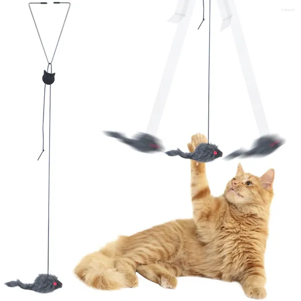 Jouets interactifs pour chats, porte suspendue, corde à gratter rétractable, souris, bâton Long, plume de chaton pour chats d'intérieur, exercice de jeu