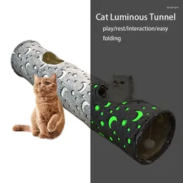 Jouets pour chats, Tube Tunnel lumineux avec boule en peluche, Poluminescence pliable et auto-luminescente pour petits animaux, lapins, chaton, chiens