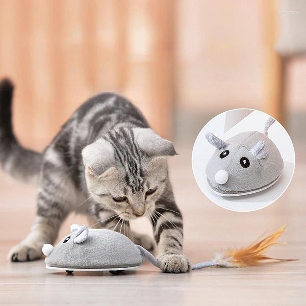 Jouets pour chats, souris électronique à mouvement mécanique, Teaser interactif, jeu USB Rechargeable pour chaton et