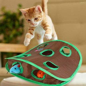 Cat Toys Mice Game Intelligence Toy avec 9 trous Mouse Hunting Bell Roldable Garde les chattes actifs jouant au tunnel à la maison extérieur