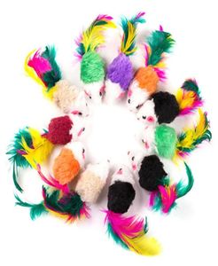 Jouets de chat en peluche chat teaser simulation colorée de plumes de plume fausse falsification de la souris chaton chatten capture gratter artifact drôle artefact1046006