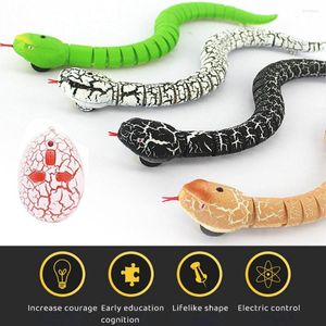 Chat Jouets Télécommande Réaliste RC Serpent Jouet Avec Contrôleur Infrarouge En Forme D'oeuf Intérieur Faux Farce Pour Les Enfants Jouent