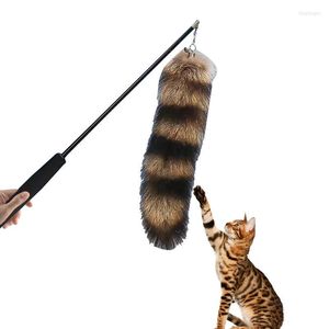 Cat Toys Retrible Teaser Wand Toy Interactive voor Cats Dancer