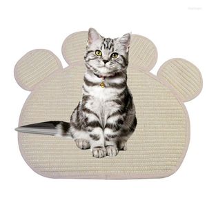 Tapis à gratter pour jouets pour chats, résistant à l'usure, Type griffe, planche à gratter, pattes souples, accessoires d'alimentation