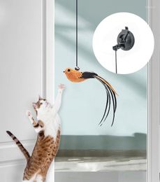 Katspeelgoed Simulatie Vogelspeelgoed Intrekbare hangdeur Type Scratch Touw Grappige zelf-hey interactieve huisdierenbenodigdheden