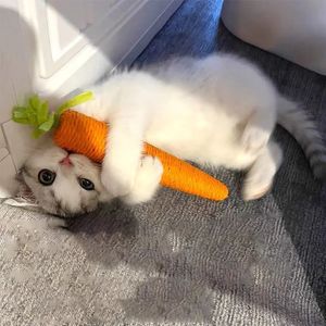 Toys Cat Toys Sound Carrot Cuddle Cat Stick depuis Fun Deting Demand Antibite Scratch Board Pet Supplies 240410