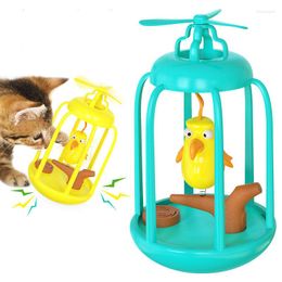 Cat Toys Squeaky Bird Cage Toy Original Funny Tumbler voor katten kitten met het bellen van interactieve swing jagen op huisdierproducten