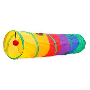 Jouets pour chat Tunnel Tube pour animaux de compagnie jouet de jeu pliable intérieur extérieur Kitty chiot pour Puzzle interactif exercice fournitures de formation