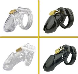 CB6000S/CB 6000 Cage de coq dispositif masculin avec 5 tailles anneau pénis serrure mâle ceinture jeu adulte Sex Toys9888573