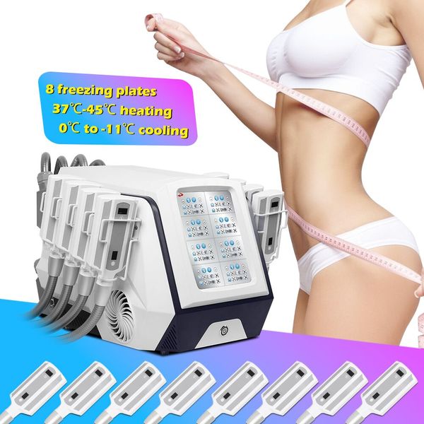 CE approuvé Cryolipolyse élimination de la cellulite Cryothérapie Graisse mince Machine de congélation 8 plaque cryo pour le corps amincissant le raffermissement de la peau